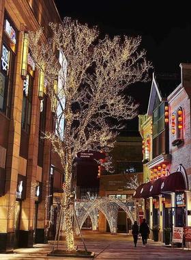 led warm white led string lights fairy string christmas ligh