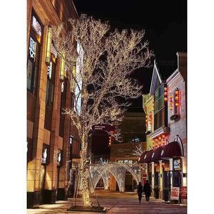 string white lights fairy ligh led christmas warm