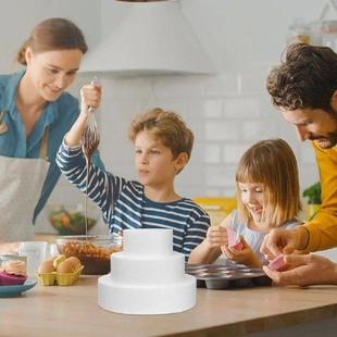 Embryo Model Tin Pcs Brandgarneck Fake Cake Board Large