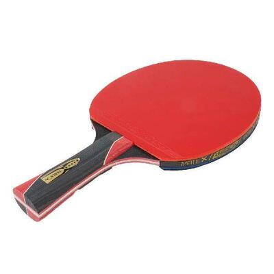 PingPong Professional Training Carbon Table Tennis Bat