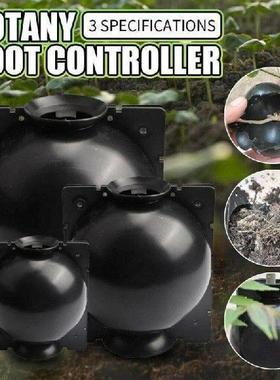 Reusable Plant Root Growing Box Cutting Grafting Rooting