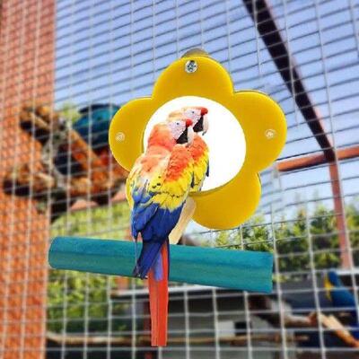 Bird Mirror For Cage Parrot Toys Mirror Cockatiel Perch