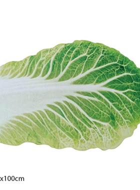 Double-Sided Flannel Creative Appearance Home Sofa Cabbage B