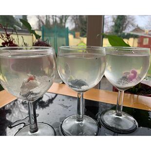 Hatching Growing Grow set Egg Water Magic Add 10pcs Dinosaur