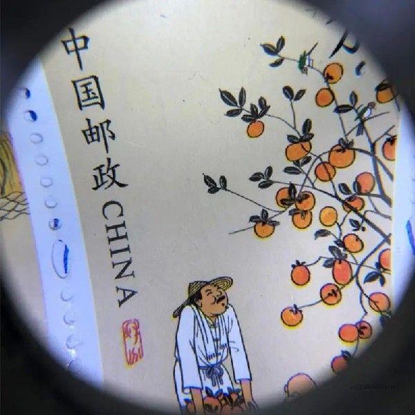 30X Handheld Glass Rechargeable Magnifier LED Lights