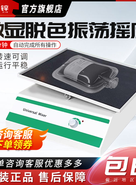 RX-307/1/2翘板摇床数显摇摆电泳凝胶脱色振荡均匀脱色振荡器