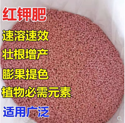 正宗红钾肥加拿大氯化钾通用化肥农用纯钾叶面肥蔬菜果树花卉肥料