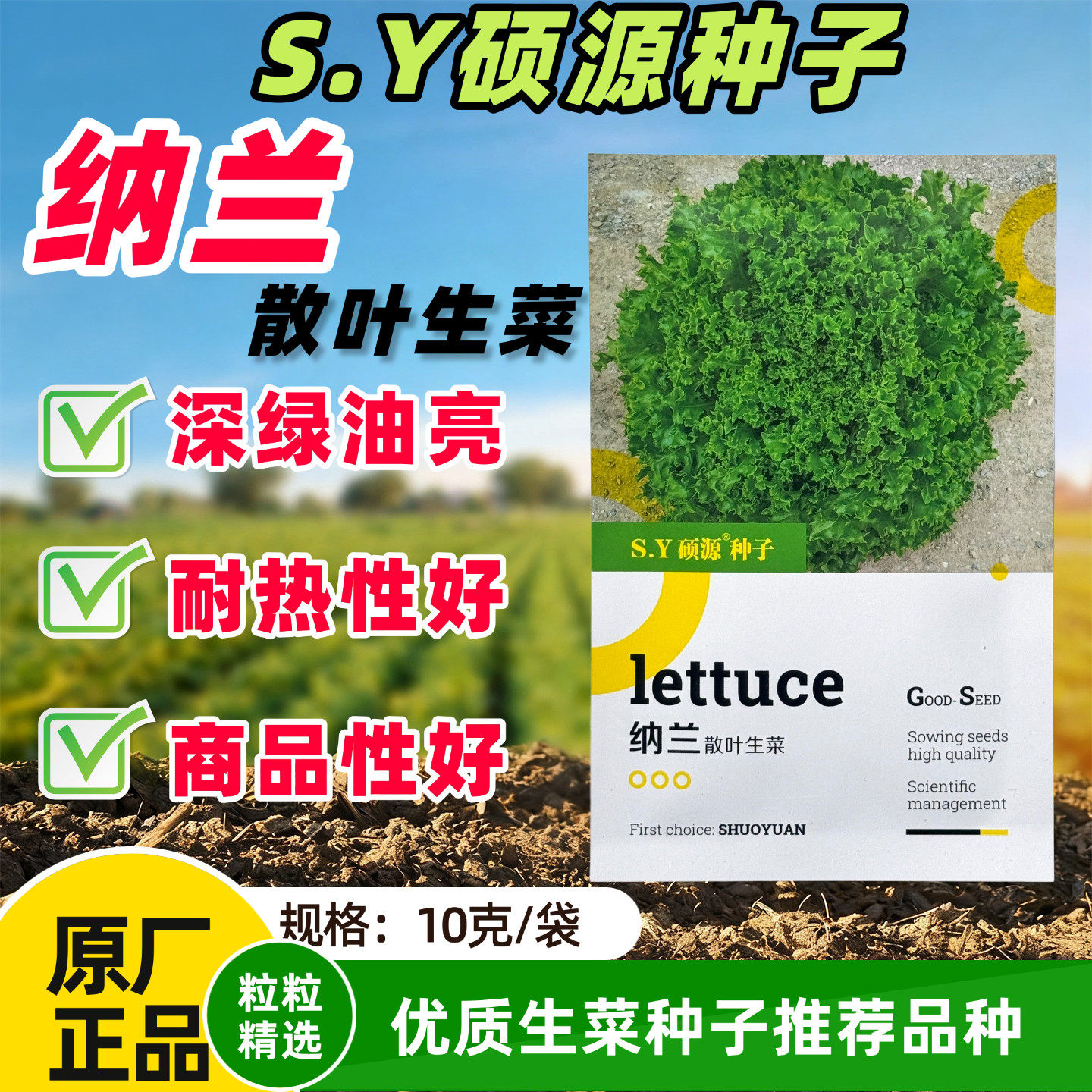北京硕源纳兰散叶生菜种籽早熟耐热耐寒叶色翠绿油亮耐揉生菜种子