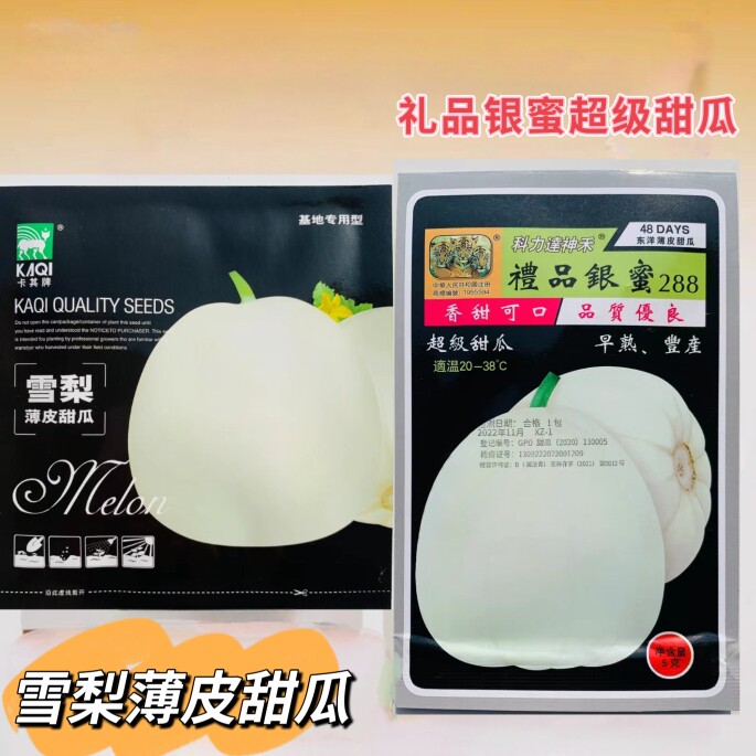 神禾雪梨/礼品银蜜甜瓜种子早熟薄皮抗病高产糖度高白皮香瓜种子