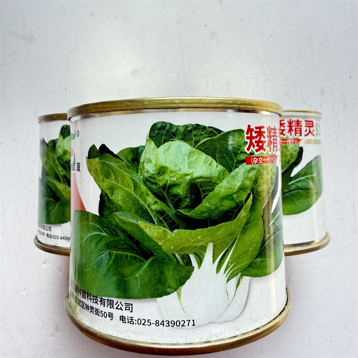 矮精灵818矮脚黄菜种子 兔子腿杂交一代高产耐热耐湿白梗矮小白菜