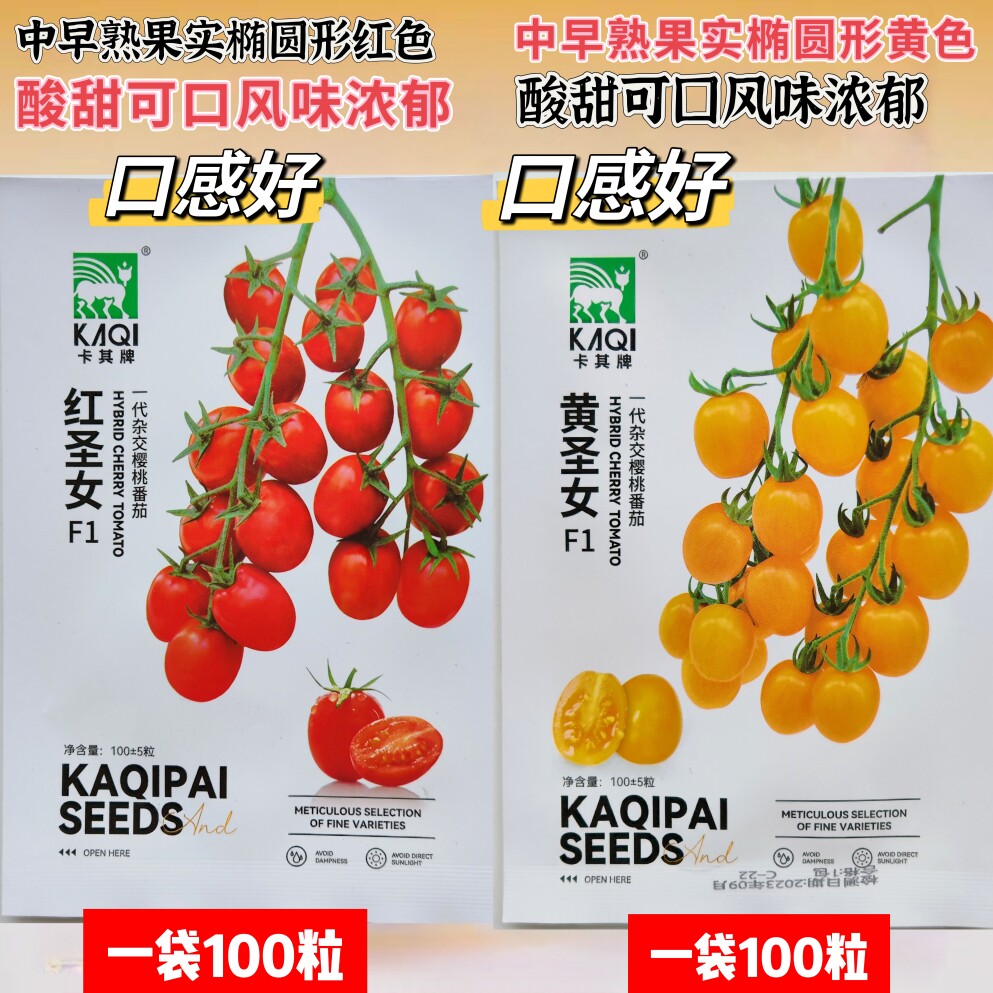 神禾樱桃番茄种子四季小西红柿圣女果种子农家阳台瓜果蔬菜种孑