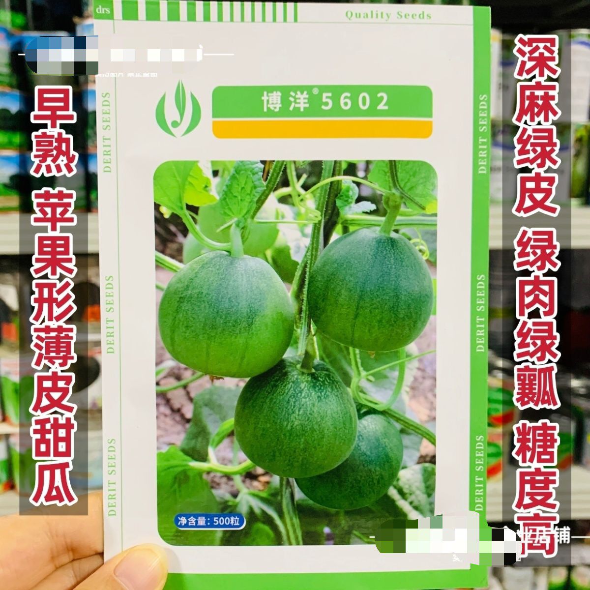 德瑞特博洋5602甜瓜种子