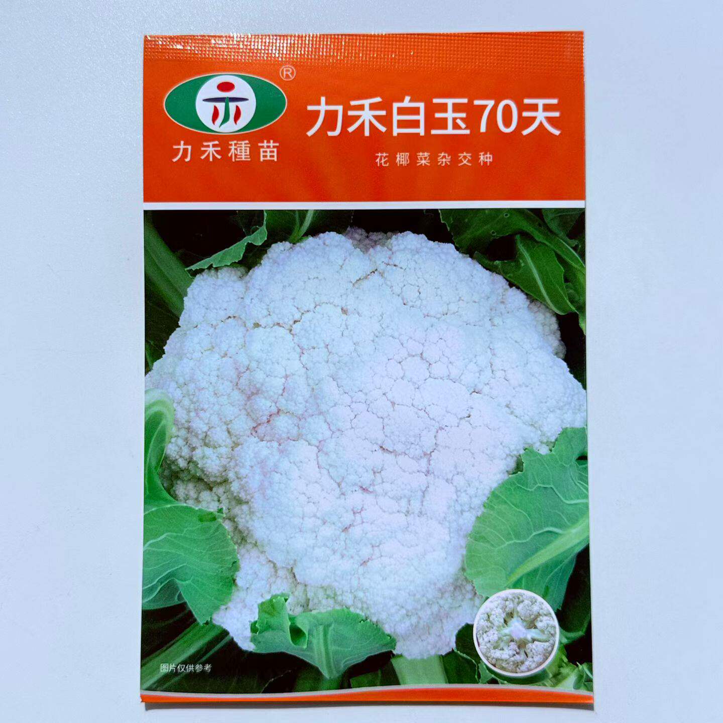 力禾白玉70天花椰菜种子高产抗病杂交白花菜种籽农家春秋播蔬菜种