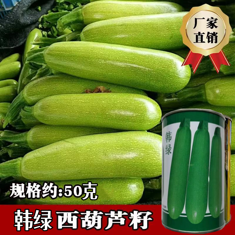 西葫芦种子韩绿翠绿油瓜高产早熟