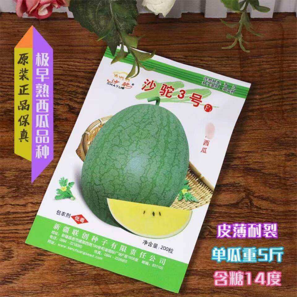 新疆3号绿皮黄瓤黄肉黄心礼品小西瓜种子极早熟爬地吊蔓四季