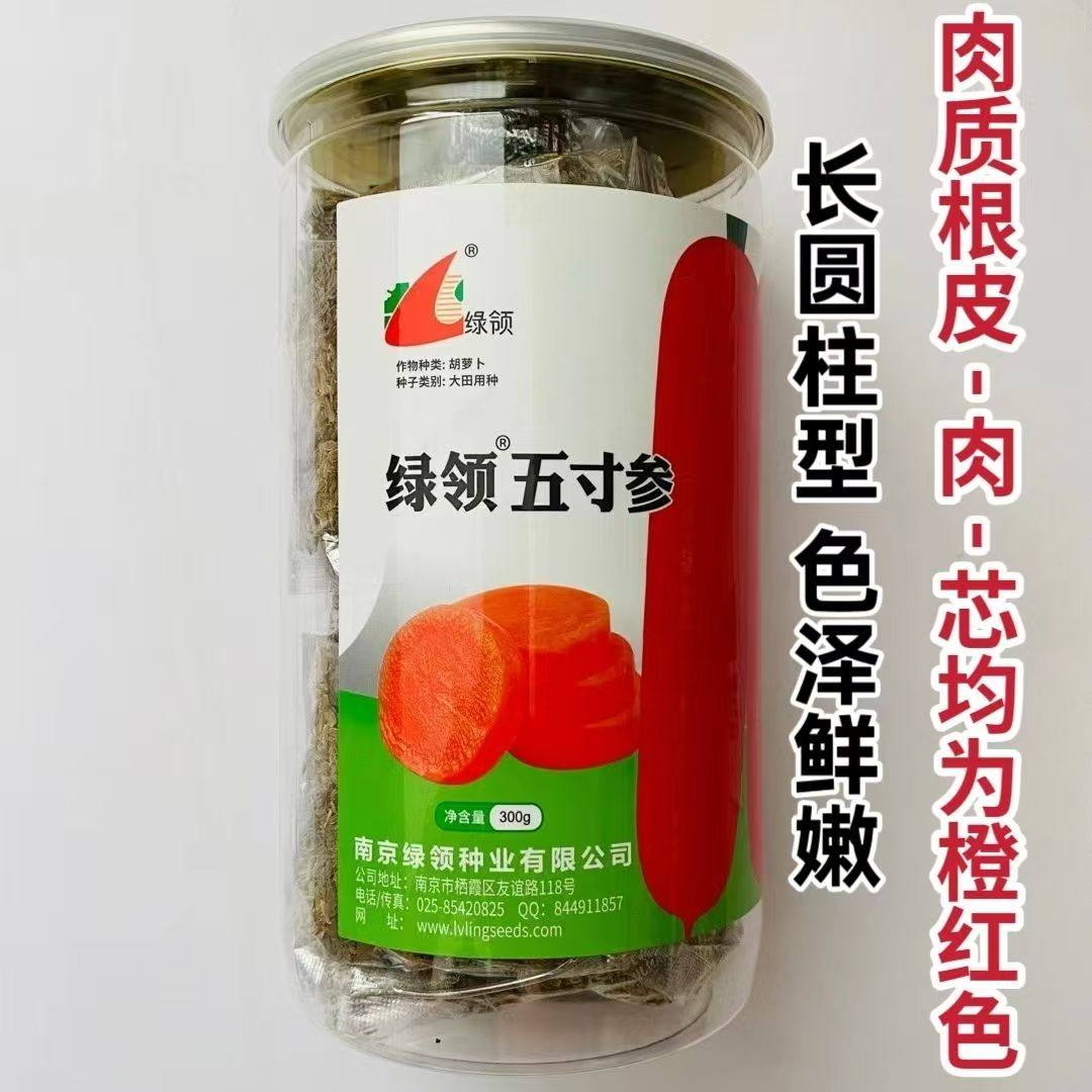 绿领五寸参胡萝卜种子红皮红肉芯脆甜三红胡罗卜种籽秋季蔬菜种孑,鲜花速递/花卉仿真/绿植园艺,家庭园艺种子,淘宝优惠券,粉丝福利购,淘宝优惠卷