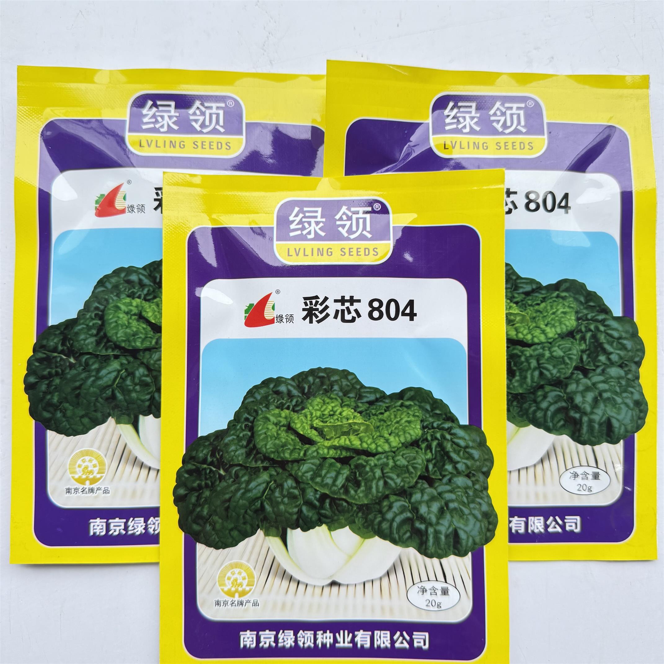 绿领彩芯804乌塌菜种籽 耐寒矮棵杂交黑菜种子秋冬季播种蔬菜种孑