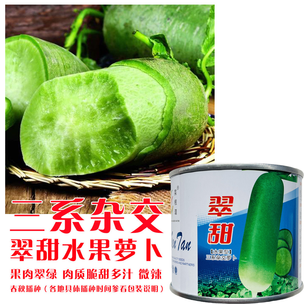 翠甜水果萝卜种子青皮青