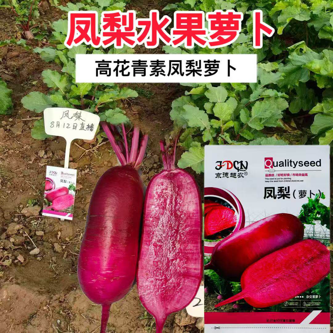 凤梨水果萝卜种籽四季甜