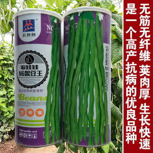 农娃娃N6架豆王种子无筋产量高绿条圆长架豆种籽大田用种耐热耐寒