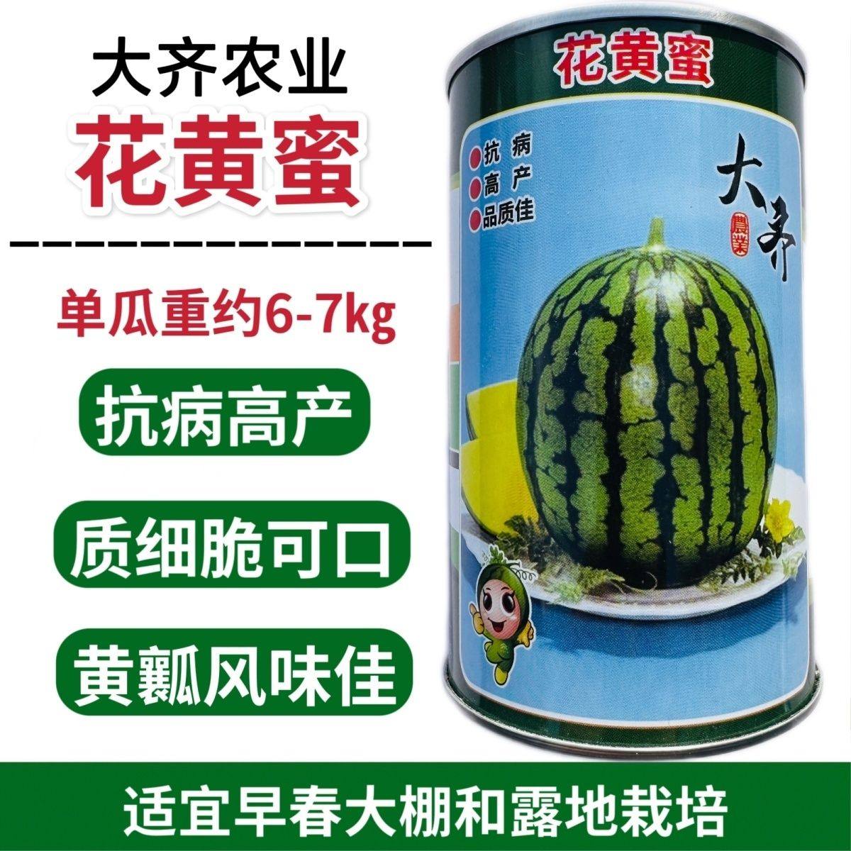 西瓜种子大齐花黄蜜早熟黄心西瓜种子800粒 脆甜爽口黄壤西瓜种