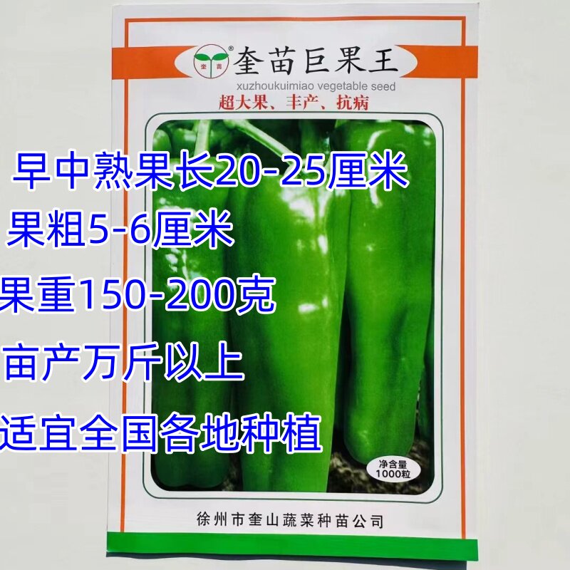 奎苗巨果王农博王大椒种子中早疏特大果薄皮椒抗病丰产南北方播种