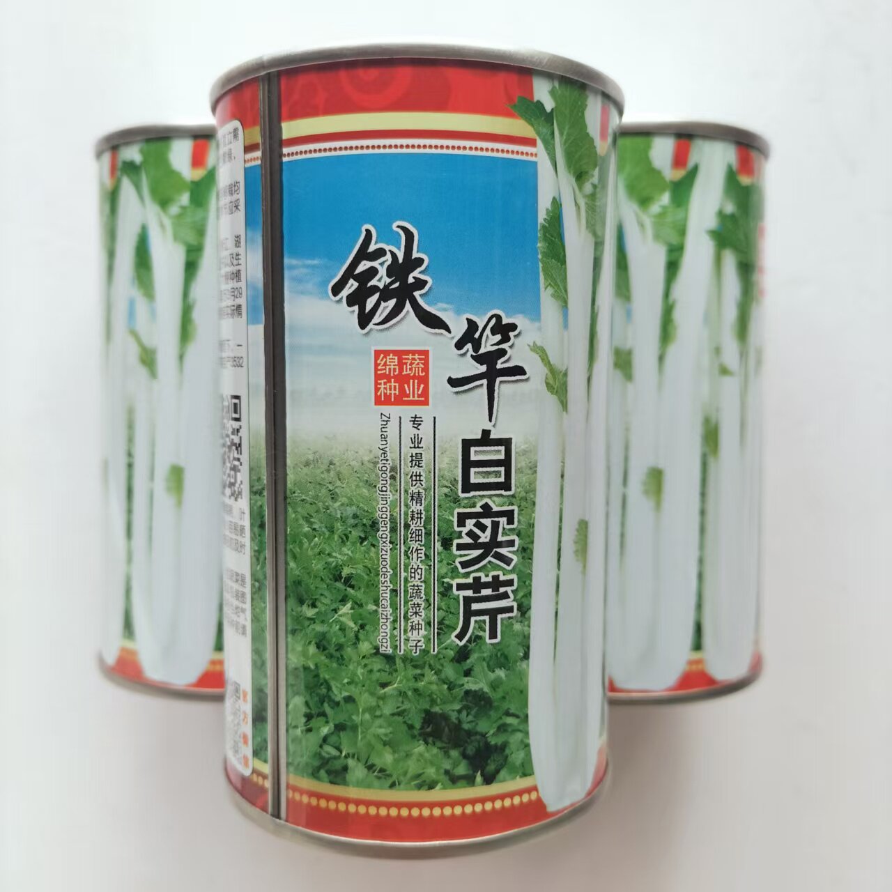 铁杆白实芹菜种子棉蔬实心白芹菜小香芹四川耐热四季西芹种子籽孑