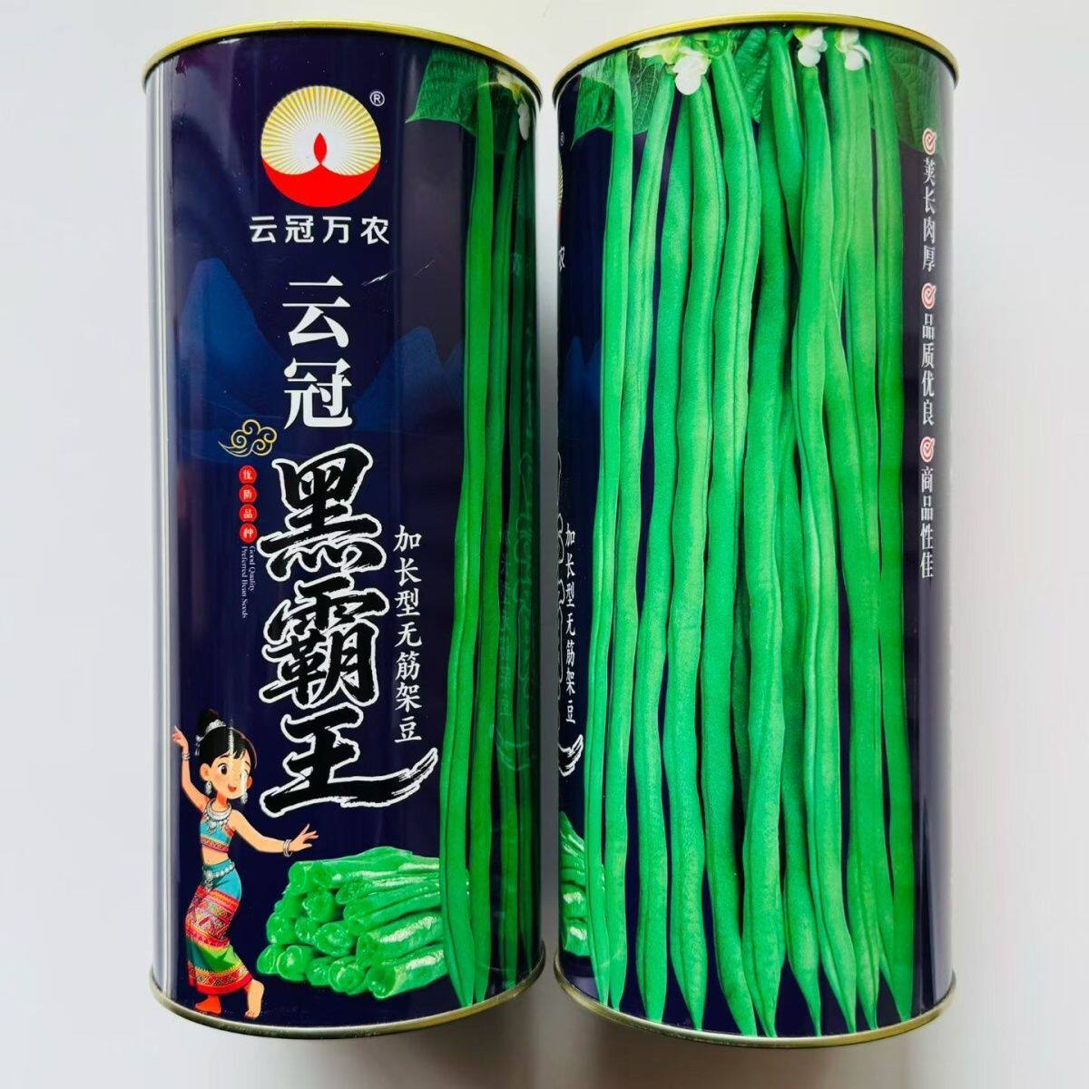 云冠黑霸王加长型无筋架豆种子高产抗病四季豆角种籽春秋播豆角种