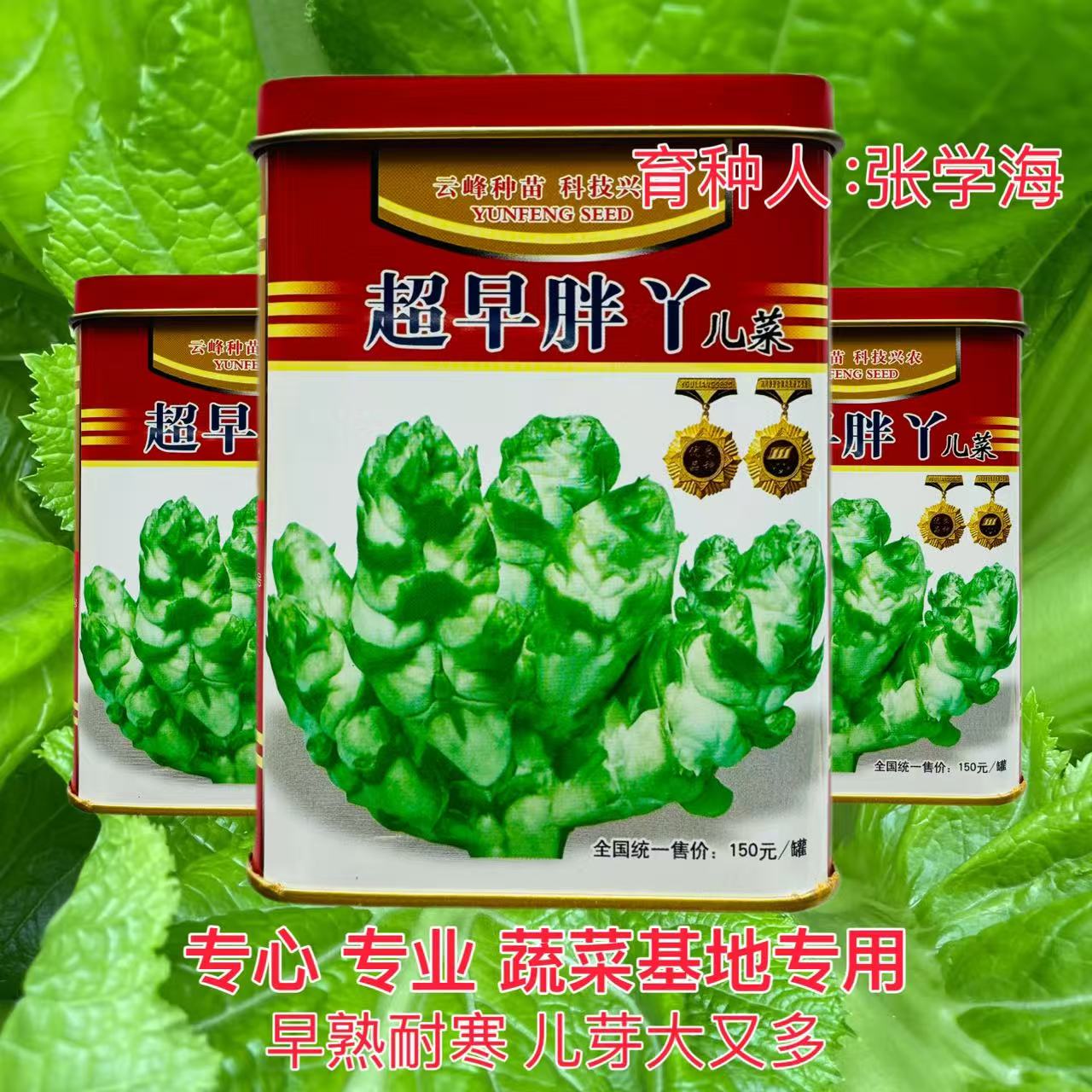 超早胖丫儿菜种子 个大早熟脆嫩味甜榨菜芥菜种籽高产榨菜种子