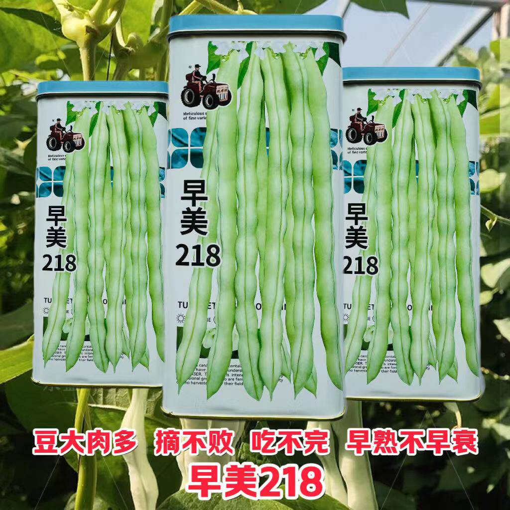 早美218架豆种子高产加长九粒白芸豆种子春秋蔓生爬藤架豆种籽孑