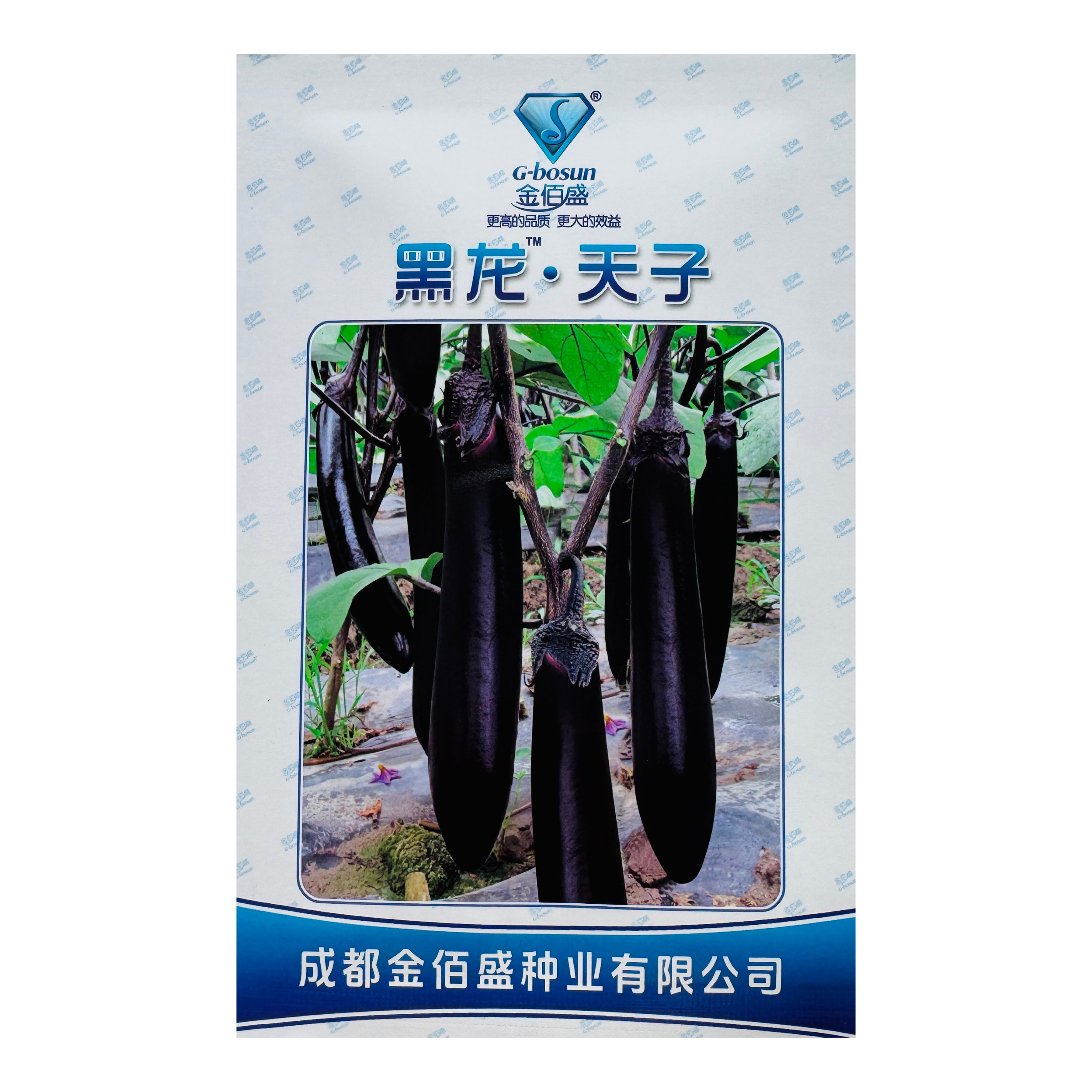 黑龙天子杂交一代茄子种子黑长茄肉质松软果实长棒型春秋基地