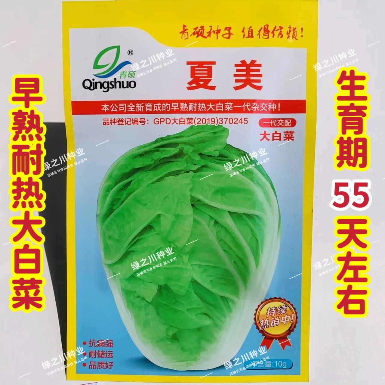 夏美抗热白菜种籽早熟耐热结球大白菜种子夏秋季杂交大白菜种籽