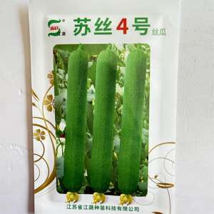 苏丝4号丝瓜种子高产抗病耐热耐寒农家菜园大田基地种植丝瓜种籽