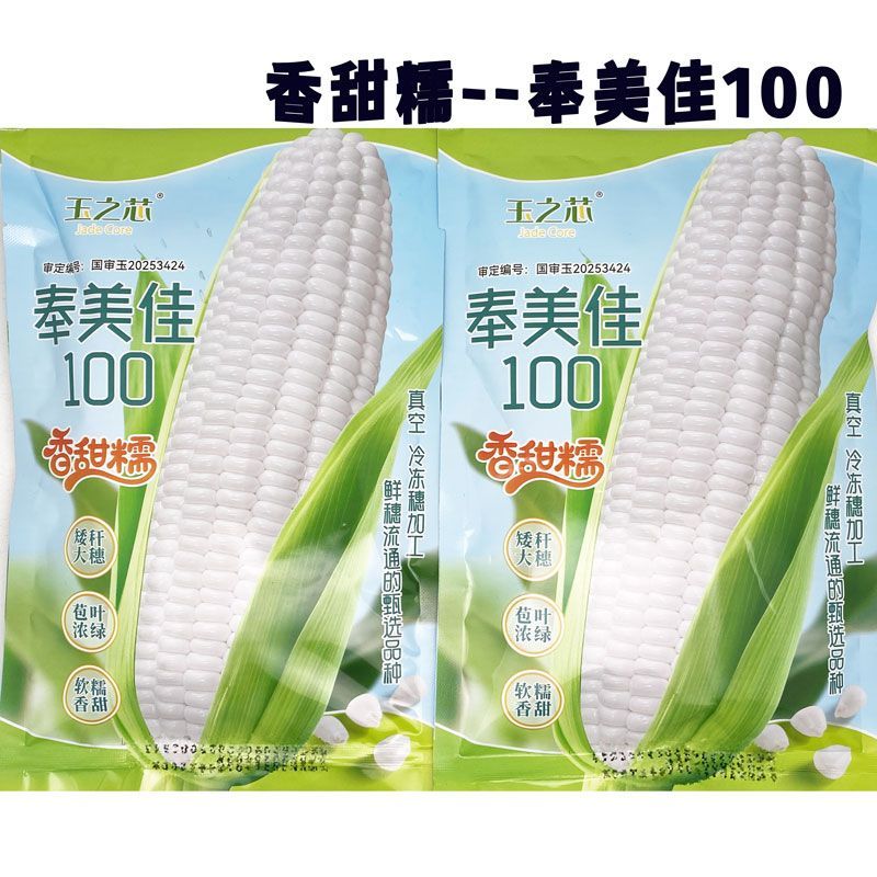 奉美佳100 白糯玉米种籽矮杆大棒甜味糯白粘糯玉米种子200克