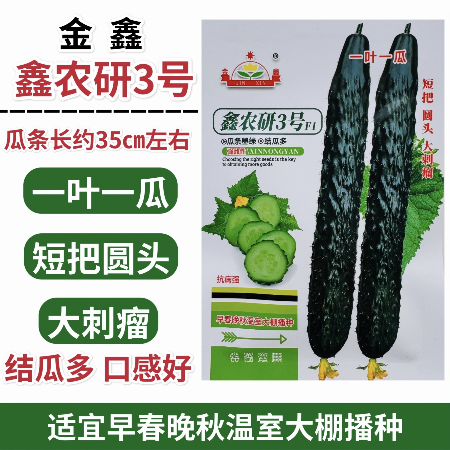 鑫农研3号黄瓜种子强雌型高产大刺瘤黄瓜种籽节节有瓜早熟春秋