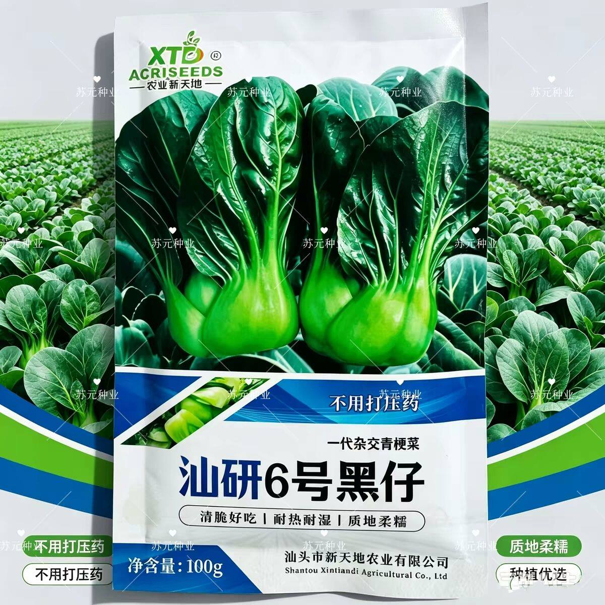 汕研6号黑仔小青仔菜种子宁夏青仔耐寒矮脚油绿软糯小苏州青菜籽