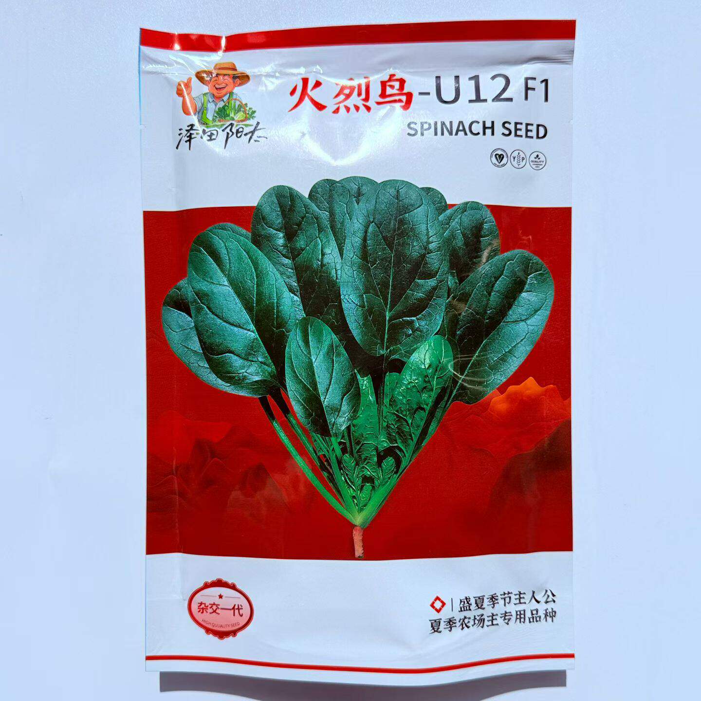 耐热菠菜种子火烈鸟夏播抗热高温油亮大叶抗病油亮菠菜蔬菜种子籽