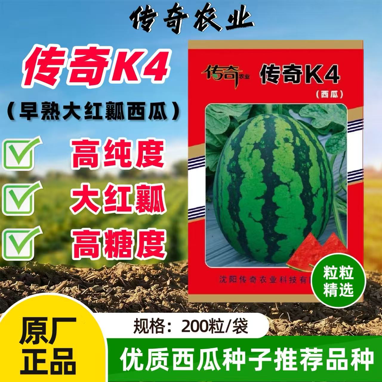 传奇K4西瓜种子早熟杂交椭圆形大红瓤西瓜种籽皮硬耐裂耐贮运西瓜