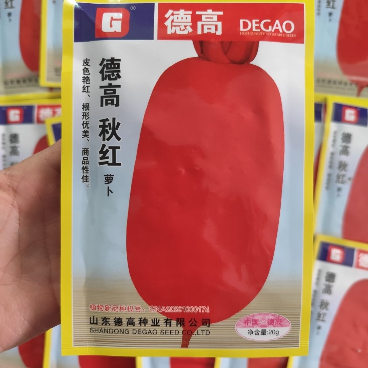 德高萝卜种子秋红秋季播红色萝卜种子皮色艳红板叶满身红萝卜种籽