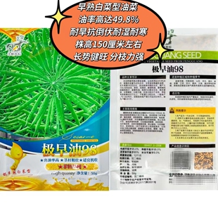 极早油98油菜籽极早熟矮杆高油正品老品种黄籽耐寒耐旱强蔬菜籽