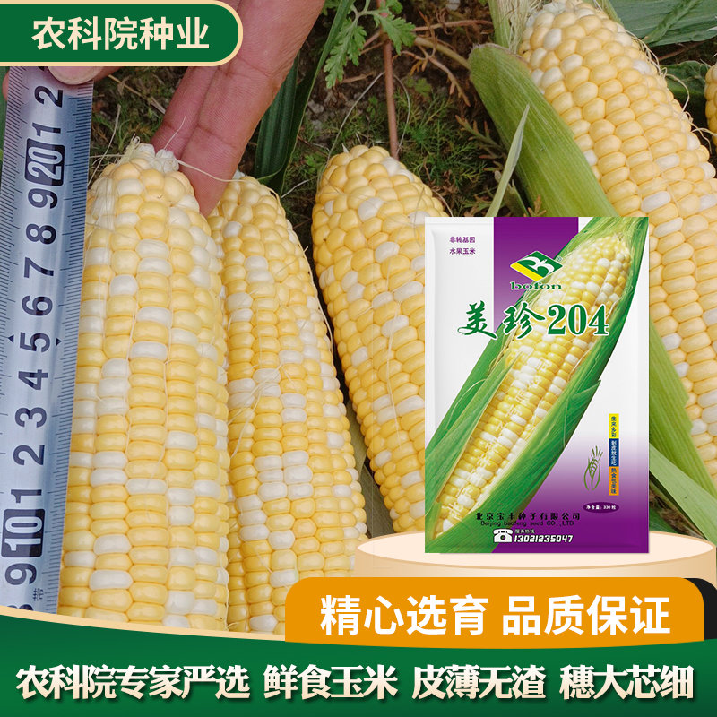宝丰美珍204双色鲜食水果甜玉米种子穗大芯细四季蔬菜籽优质高产