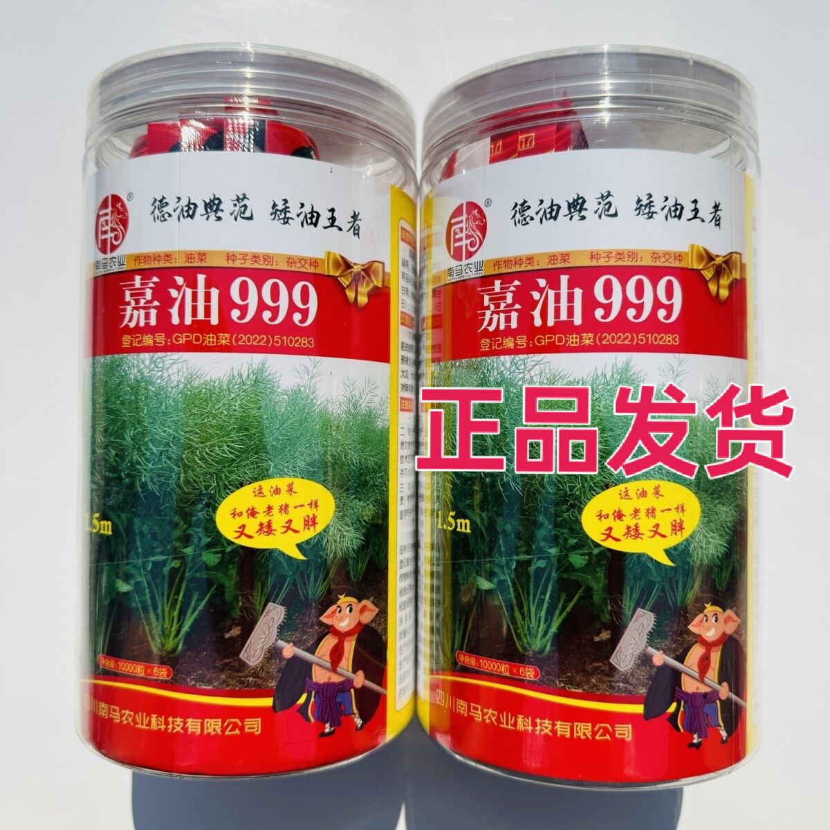 嘉油999油菜种子四川杂交油菜种籽黑籽矮杆实心杆抗倒伏出油高