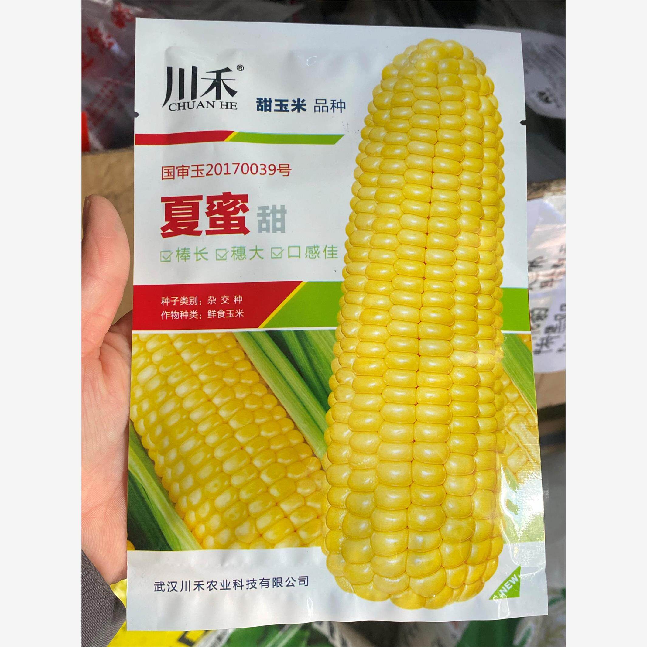 夏蜜甜水果玉米种子川禾国审超甜大棒薄皮多汁生吃甜脆玉米种子籽
