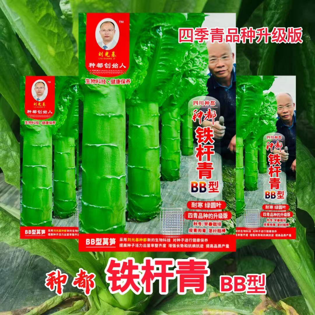 种都铁杆青BB型青皮绿肉