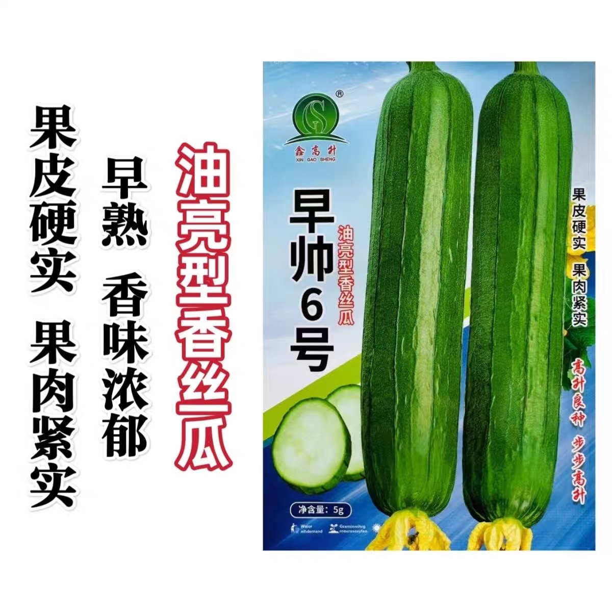 早帅6号丝瓜种籽早熟一代杂交油亮短棒大肉丝瓜种籽油皮丝瓜种子