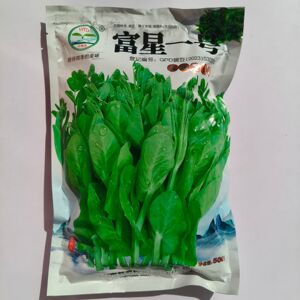 富新一号豌豆种子无须豌豆苗种味甜耐寒高产农家田园春秋蔬菜籽