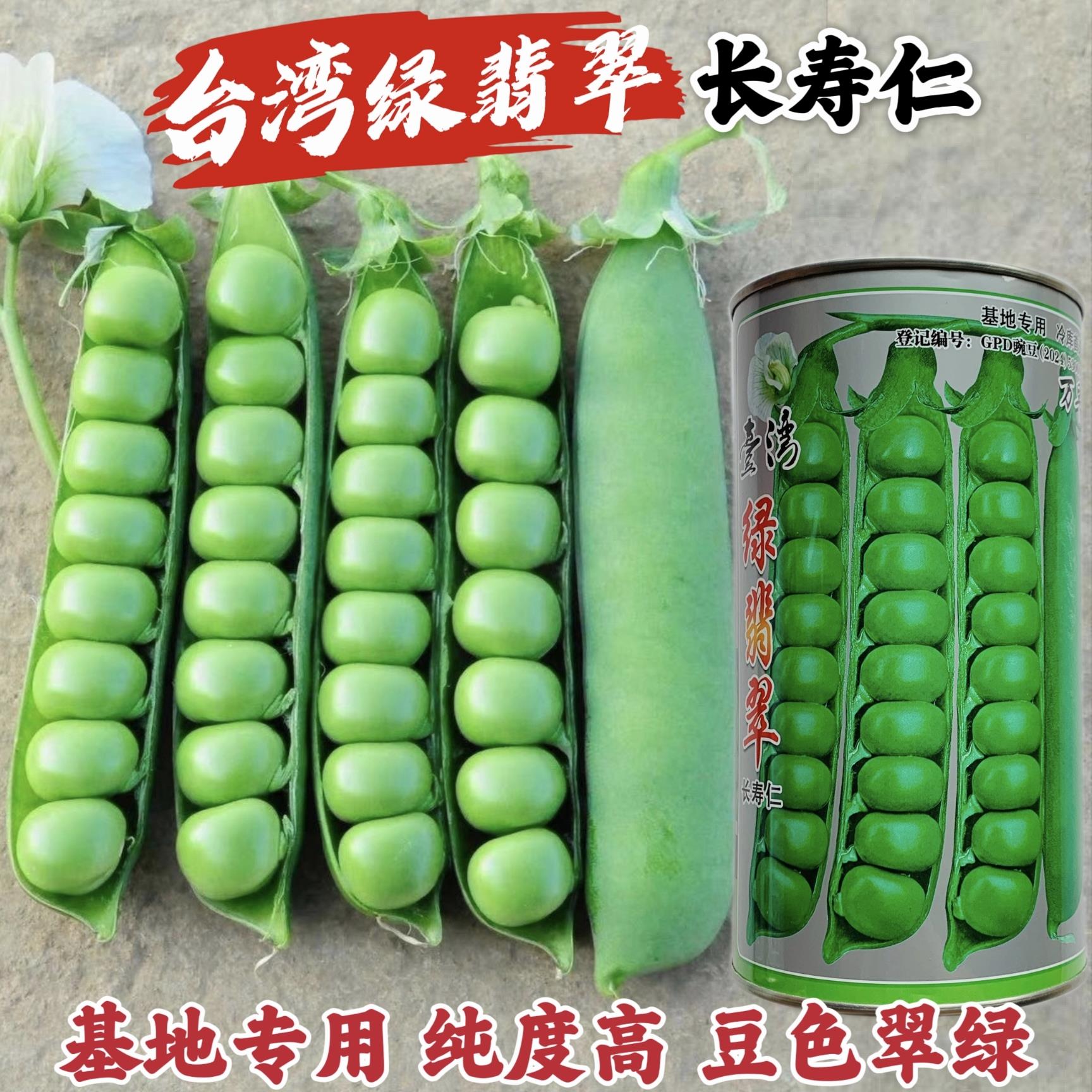台湾绿翡翠长寿仁豌豆种子甜脆豌豆仁种籽高产大荚耐寒青豆种子