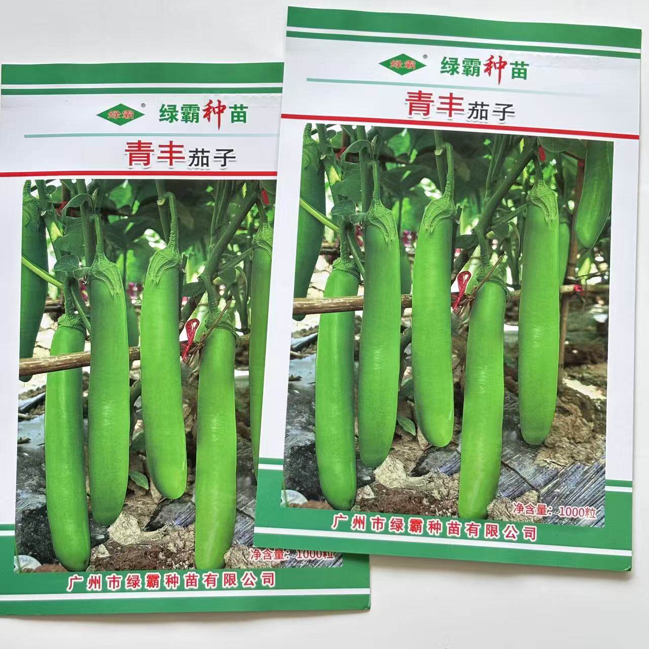 绿霸 青丰茄子 绿长茄子种子 中早熟鲜绿细嫩高产抗病商品性佳