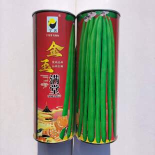 金玉满堂四季豆种子菜豆早熟红花爬藤豆角种子芸豆籽种春夏秋播种