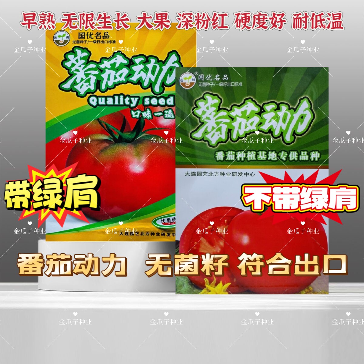 蕃茄动力西红柿种子高圆